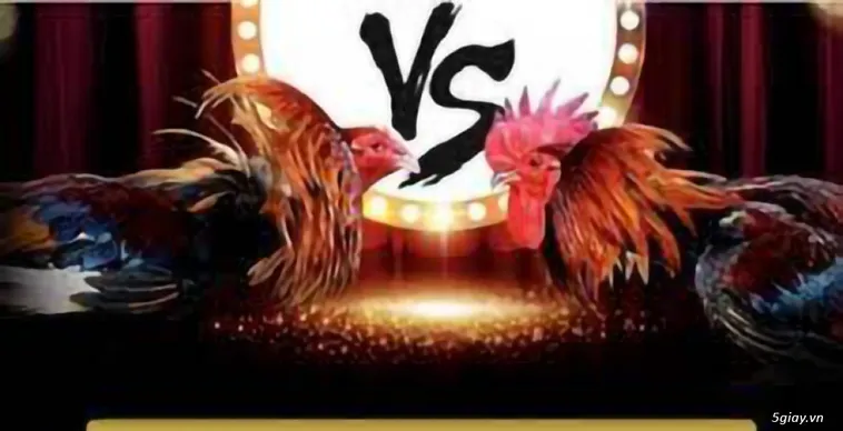 Cách Chơi Đá Gà GA28 WIN55 Hấp Dẫn Kê Thủ Năm 2025