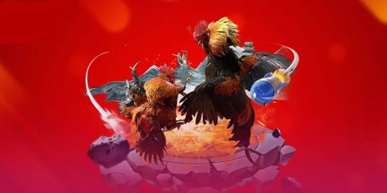 Cách Chơi Đá Gà 3D WIN55 Đỉnh Cao Giải Trí Trực Tuyến 2025